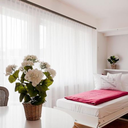 Apartment Double Room-1 By Interhome 阿斯科纳 外观 照片